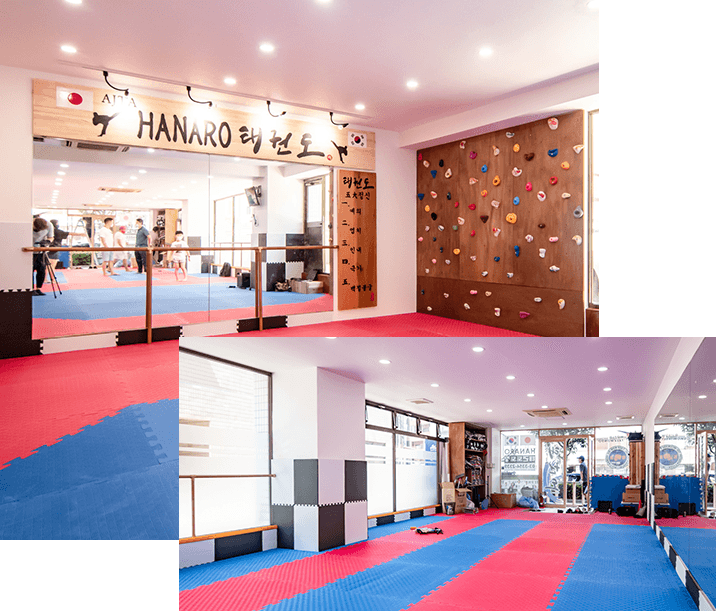 新宿早稲田ハナロテコンドースクール