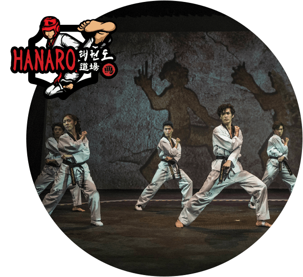 テコンドーとは - 新宿早稲田ハナロテコンドースクール