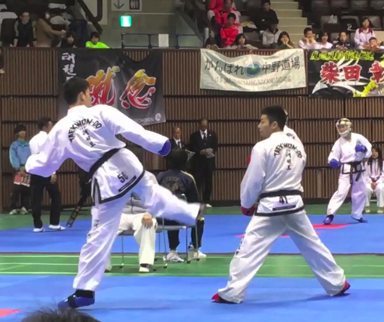 テコンドーの競技 マッソギ（組手）新宿早稲田ハナロテコンドースクール